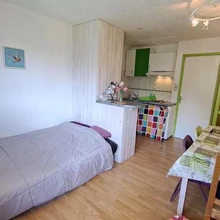 Equipe Pour 6 Pers, A 50m Des Pistes De - Fr-1-165a-5 * Uvernet-Fours