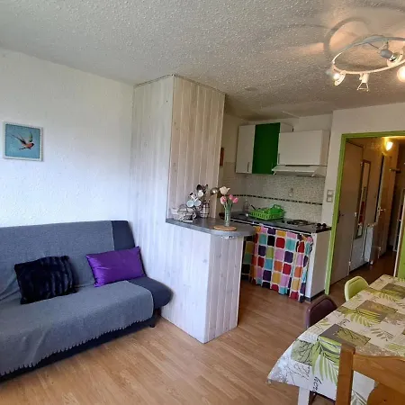 アパート Equipe Pour 6 Pers, A 50m Des Pistes De - Fr-1-165a-5