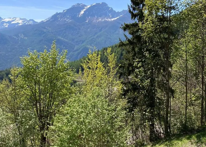 Equipe Pour 6 Pers, A 50m Des Pistes De - Fr-1-165a-5 Apartment *