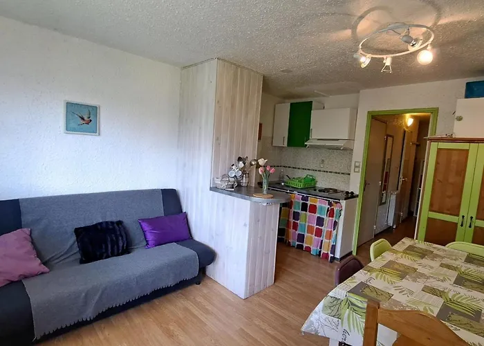 Apartment Equipe Pour 6 Pers, A 50m Des Pistes De - Fr-1-165a-5