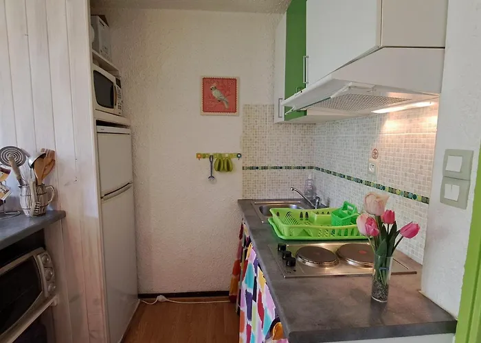 Equipe Pour 6 Pers, A 50m Des Pistes De - Fr-1-165a-5 *